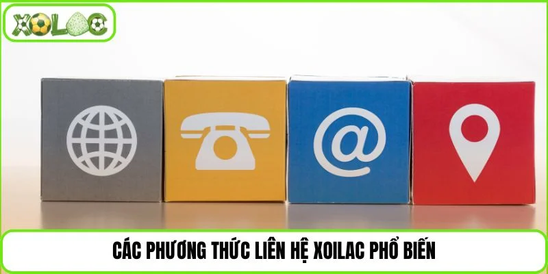 Những kênh hỗ trợ người dùng phổ biến