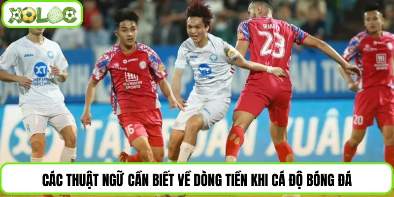 Các thuật ngữ cần biết về dòng tiền khi cá độ bóng đá