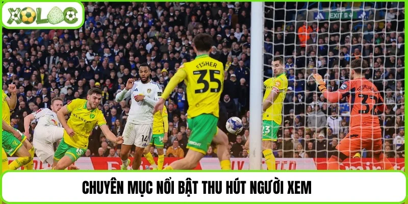 Chuyên mục nổi bật thu hút người xem