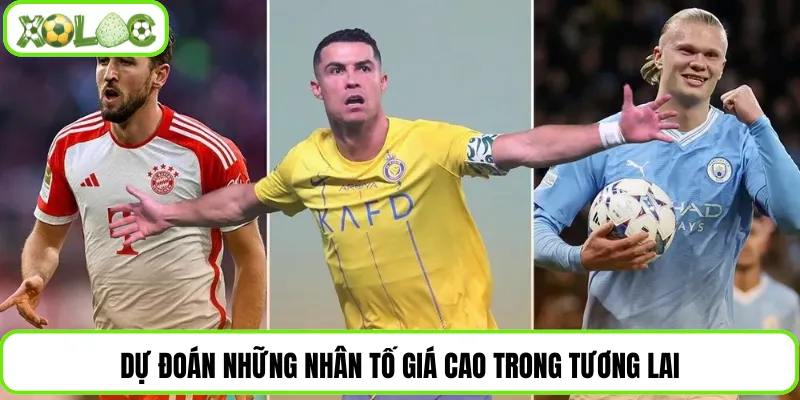 Dự đoán những nhân tố giá cao trong tương lai