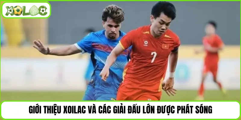 Giới thiệu Xoilac và các giải đấu lớn được phát sóng