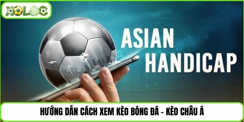 Hướng dẫn cách xem kèo bóng đá – kèo châu Á