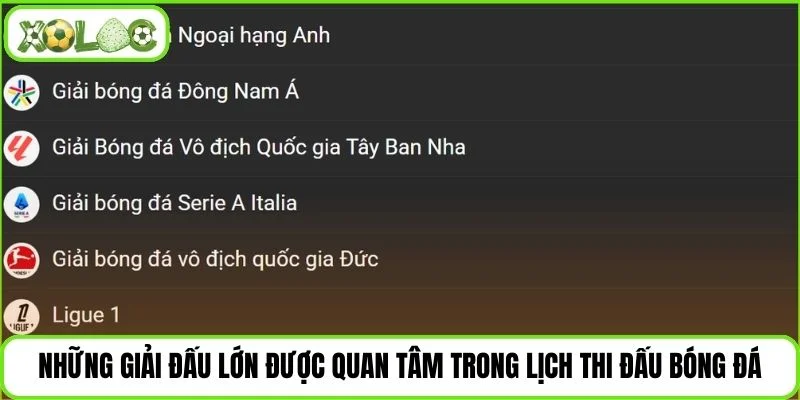 Các giải bóng đá lớn được người xem chú ý