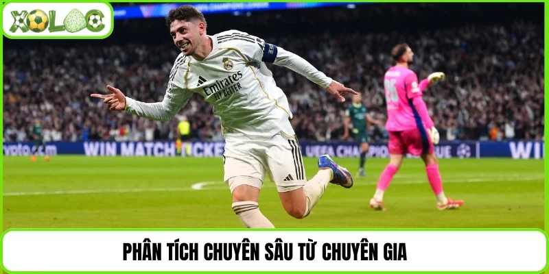 Phân tích chuyên sâu từ chuyên gia