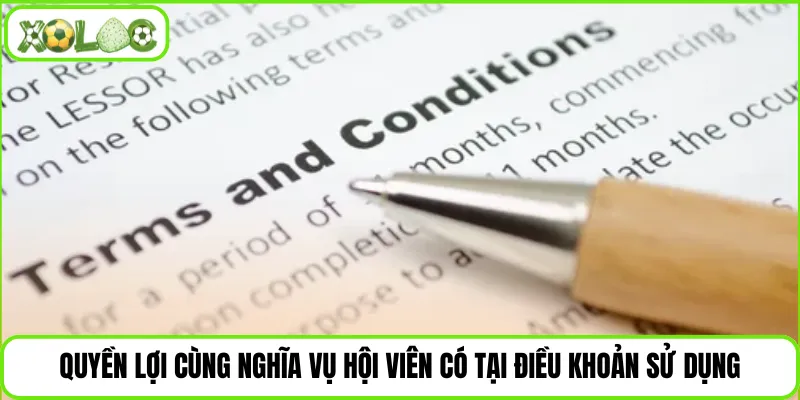 Quyền lợi cùng nghĩa vụ hội viên có tại điều khoản sử dụng