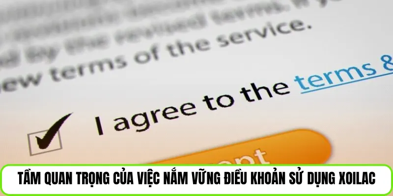 Tầm quan trọng của việc nắm vững điều khoản sử dụng Xoilac