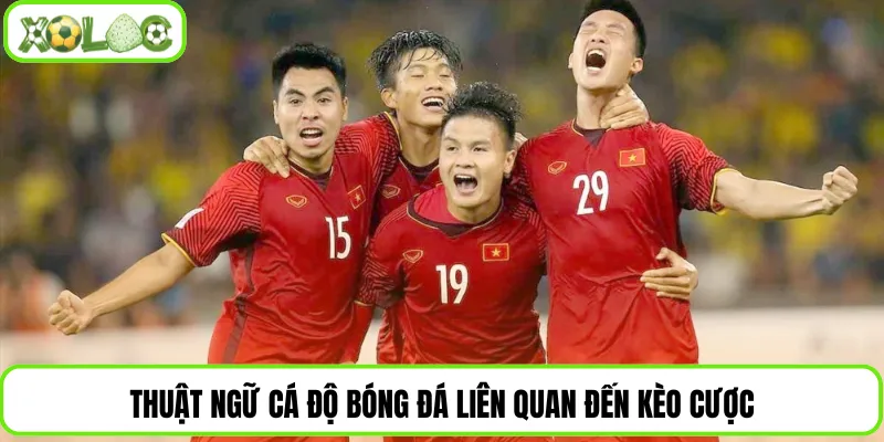 Thuật ngữ cá độ bóng đá liên quan đến kèo cược