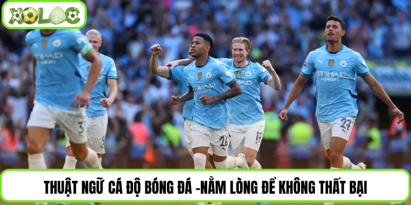 Thuật Ngữ Cá Độ Bóng Đá - Nằm Lòng Để Không Thất Bại