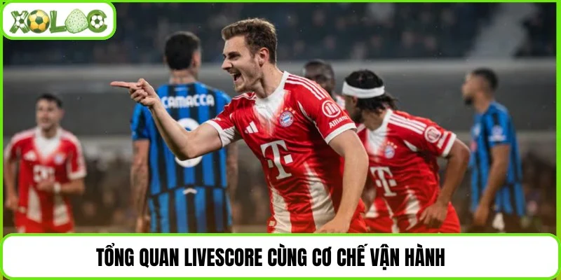 Tổng quan Livescore cùng cơ chế vận hành