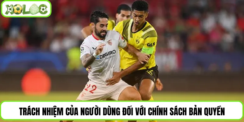 Trách nhiệm của người dùng đối với chính sách bản quyền