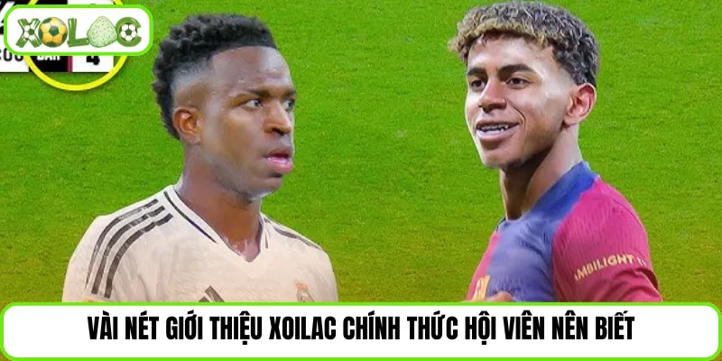 Vài nét giới thiệu Xoilac chính thức hội viên nên biết