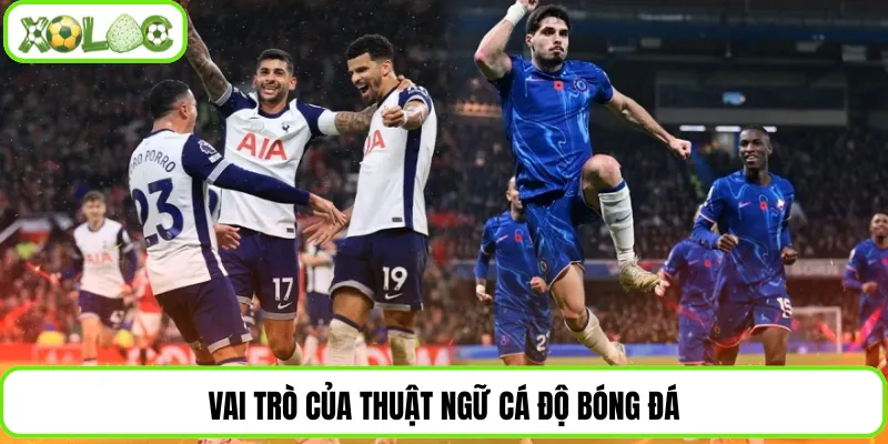 Vai trò của thuật ngữ cá độ bóng đá